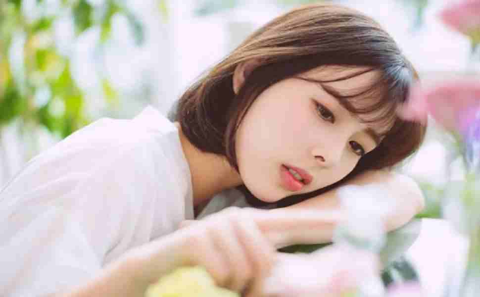 寄生虫站群cms站长