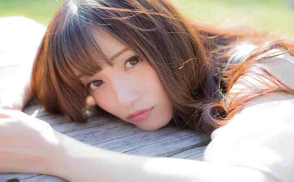 站群和独立站的区别